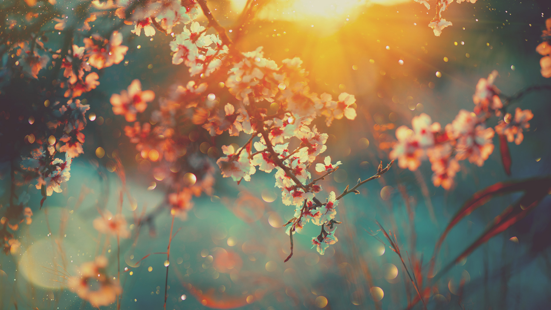 Giving to Hope Church Aldershot